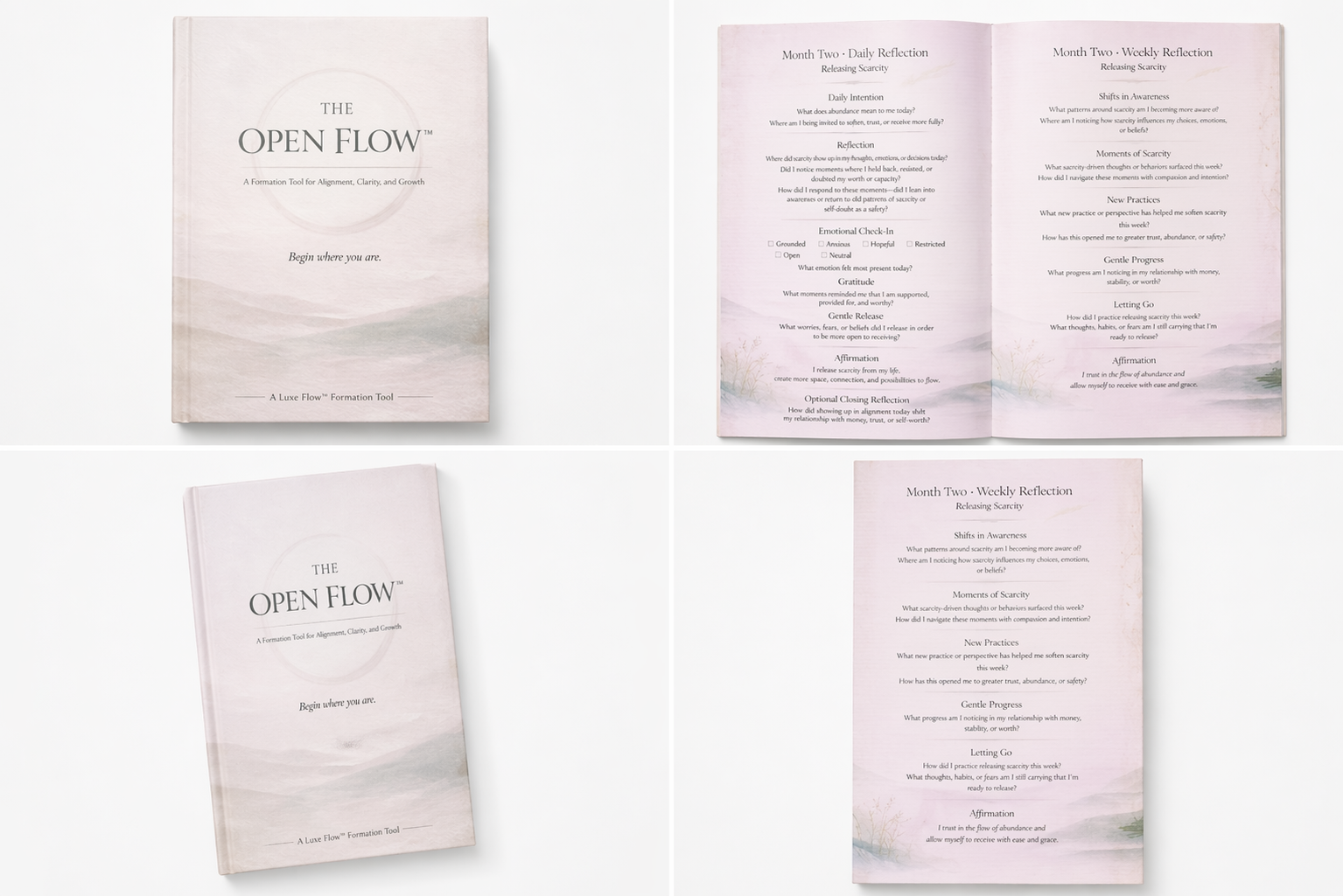 The Open Flow™ | A Financial Formation Tool